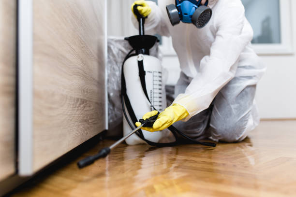 Best Wasp Removal Services  in Lake Forest, IL