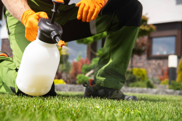 Best Mosquito Control Services  in Lake Forest, IL